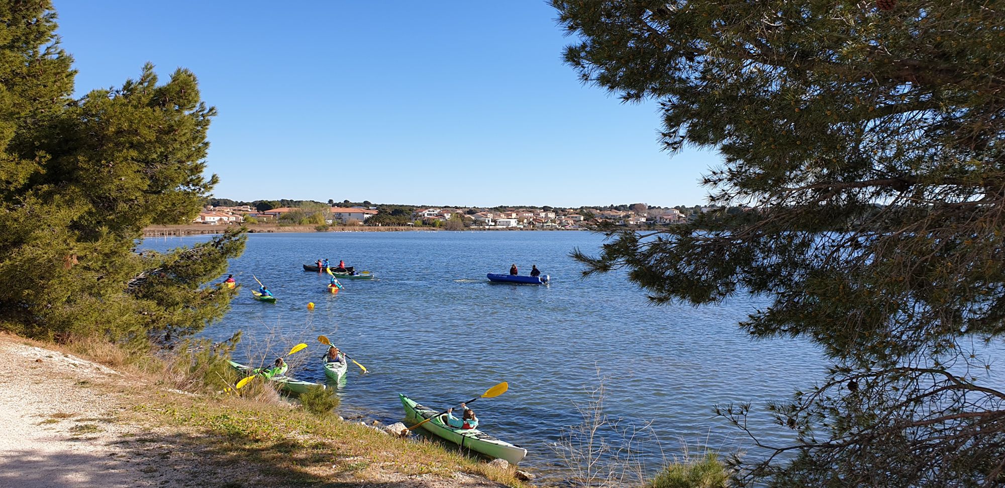 L'impact de l'environnement et de la pollution de l'air sur la santé : une réalité qui préoccupe de plus en plus