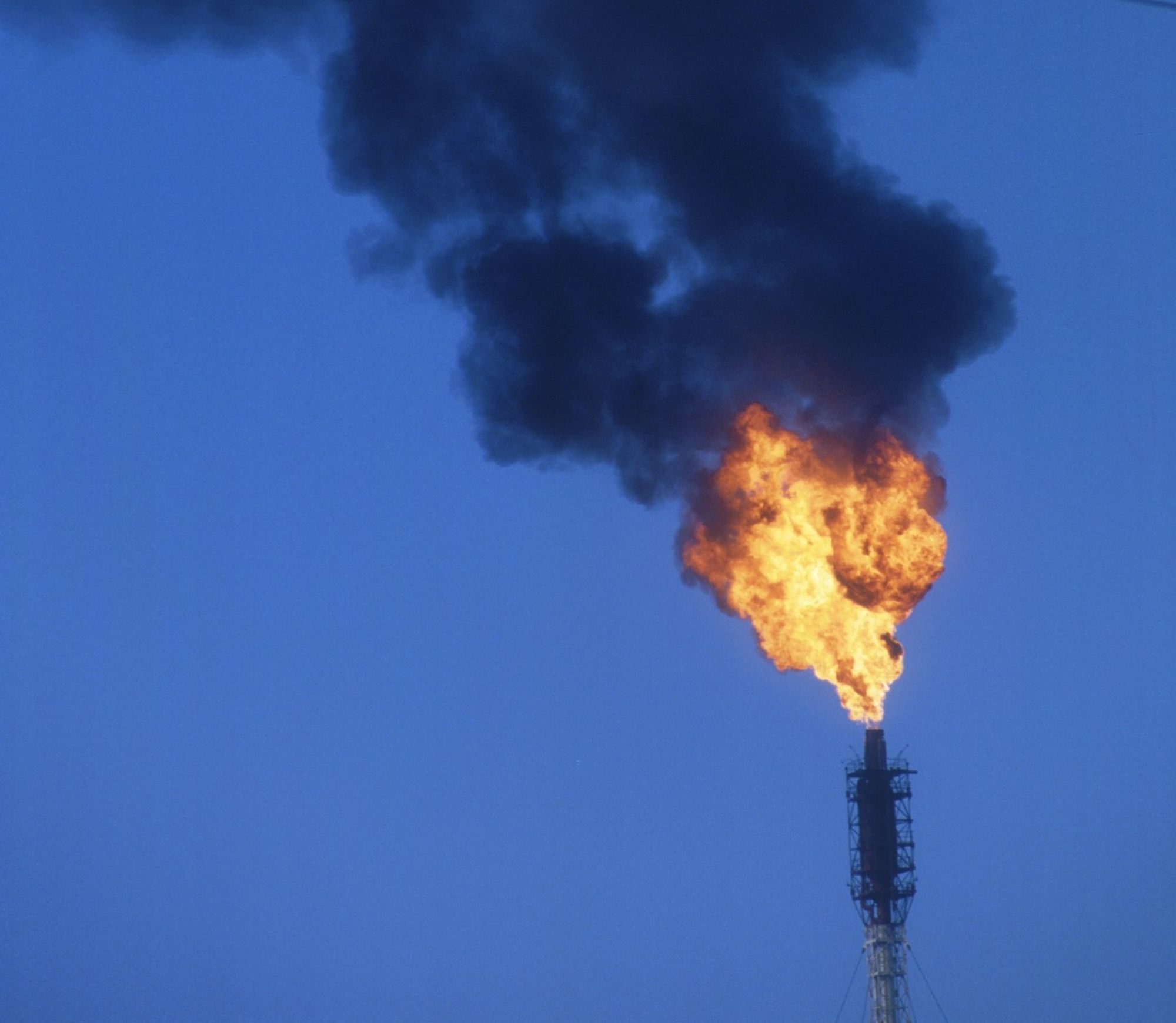 Tout savoir sur les torches