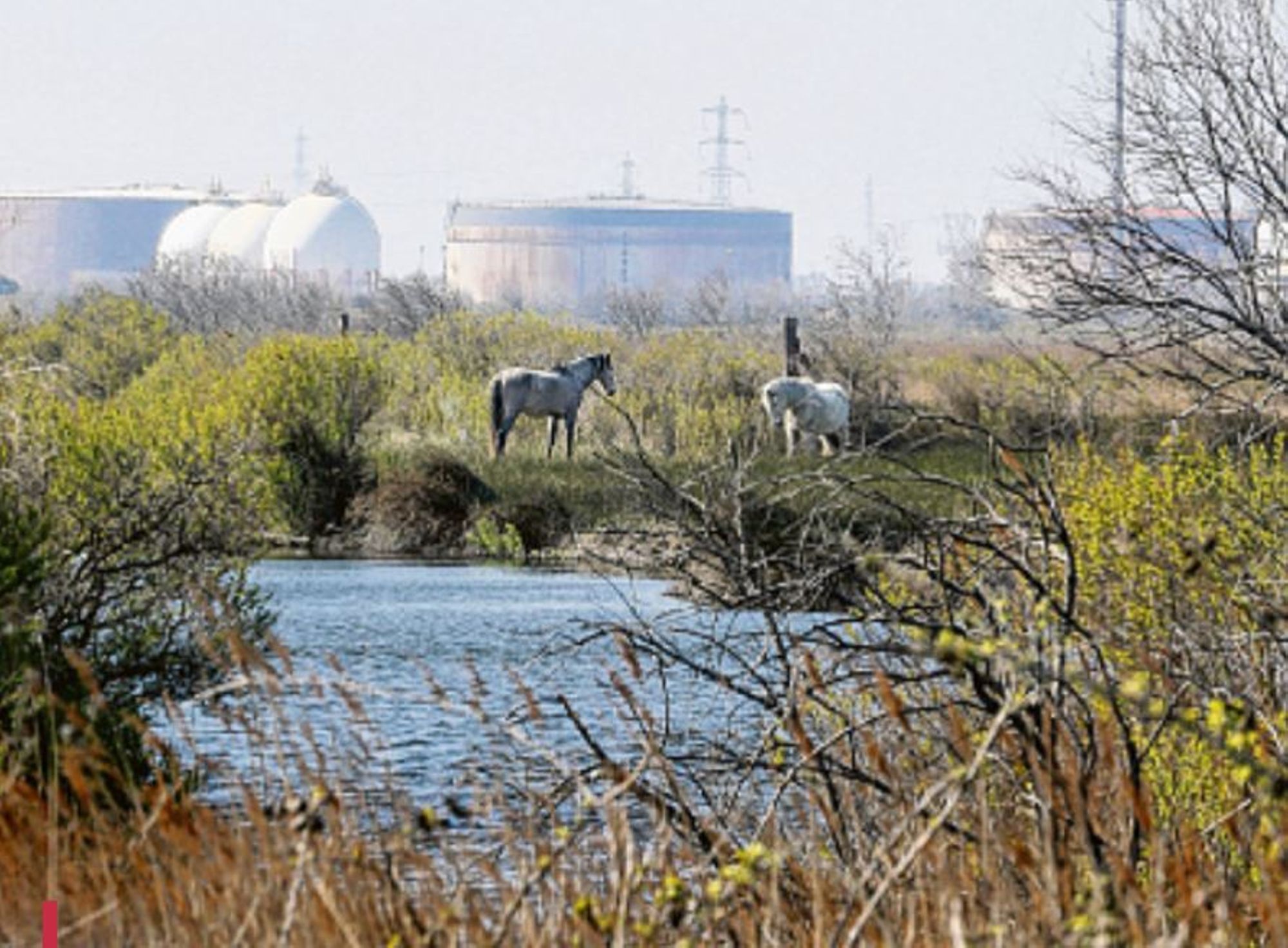 Santé : "Réponses" vous permet de donner votre avis