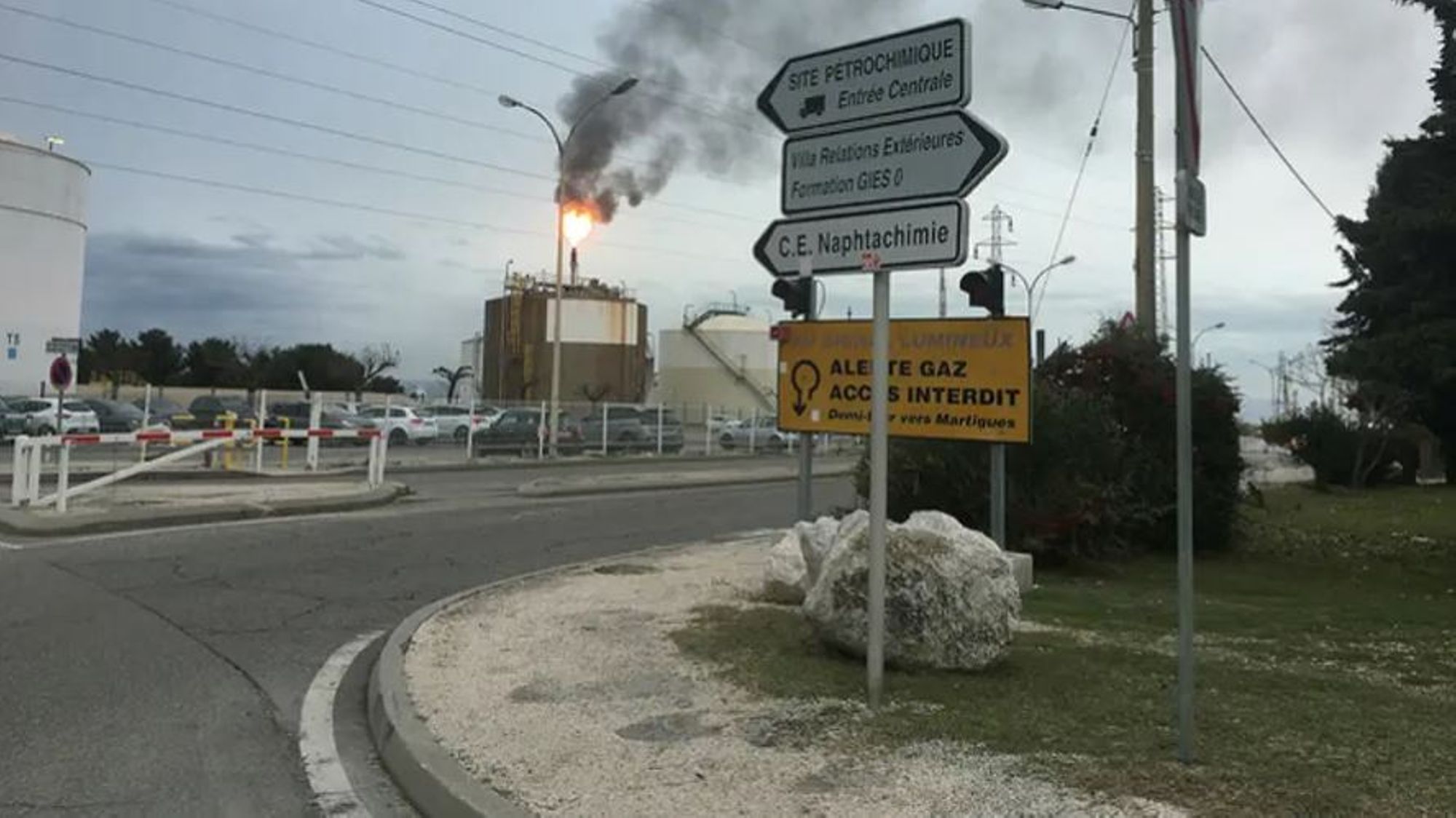 Autour de l'étang : on saura tout sur le rôle et le fonctionnement des torches