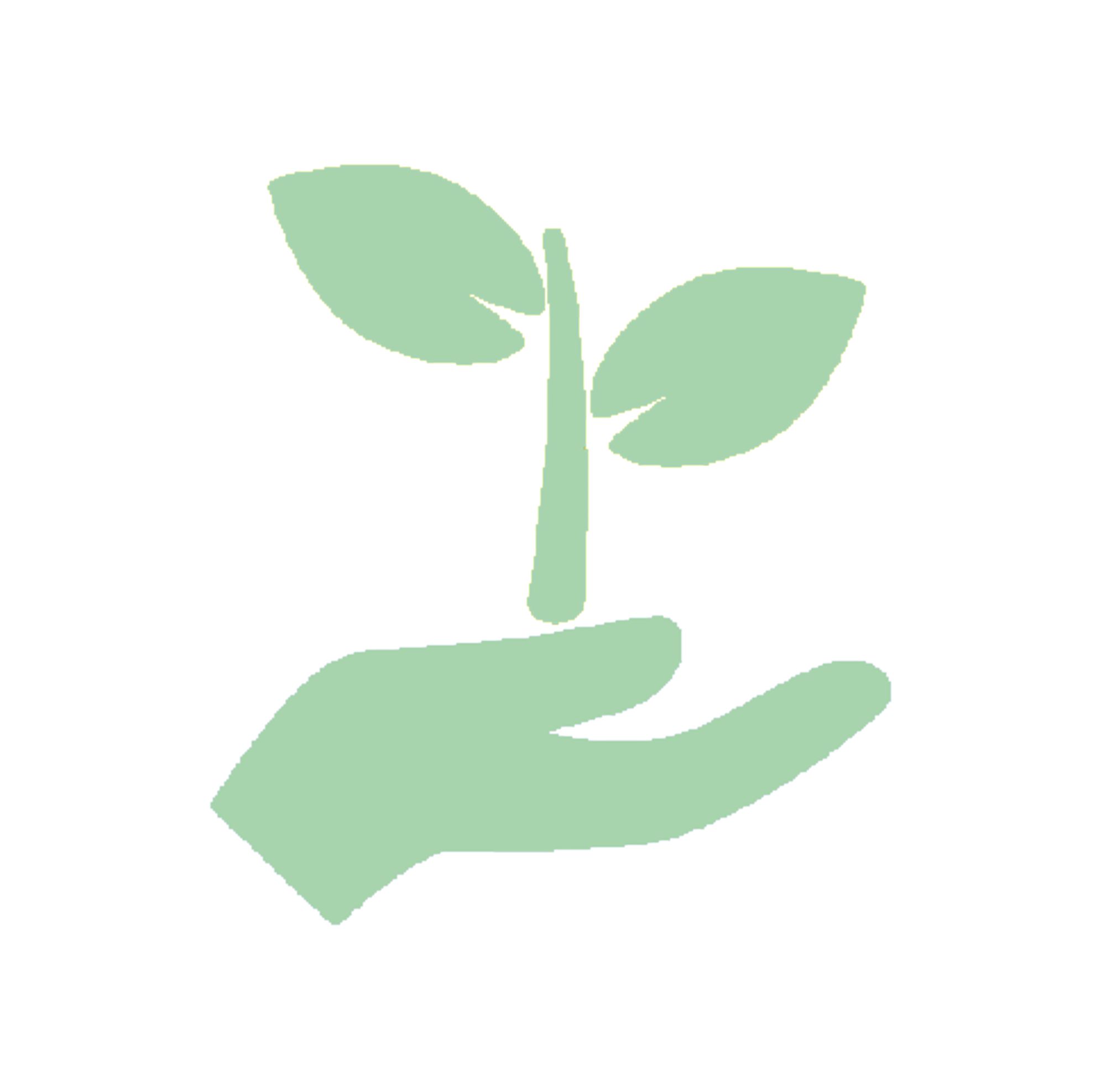 Quel est le lien entre la pollution de l'air et les allergies ?