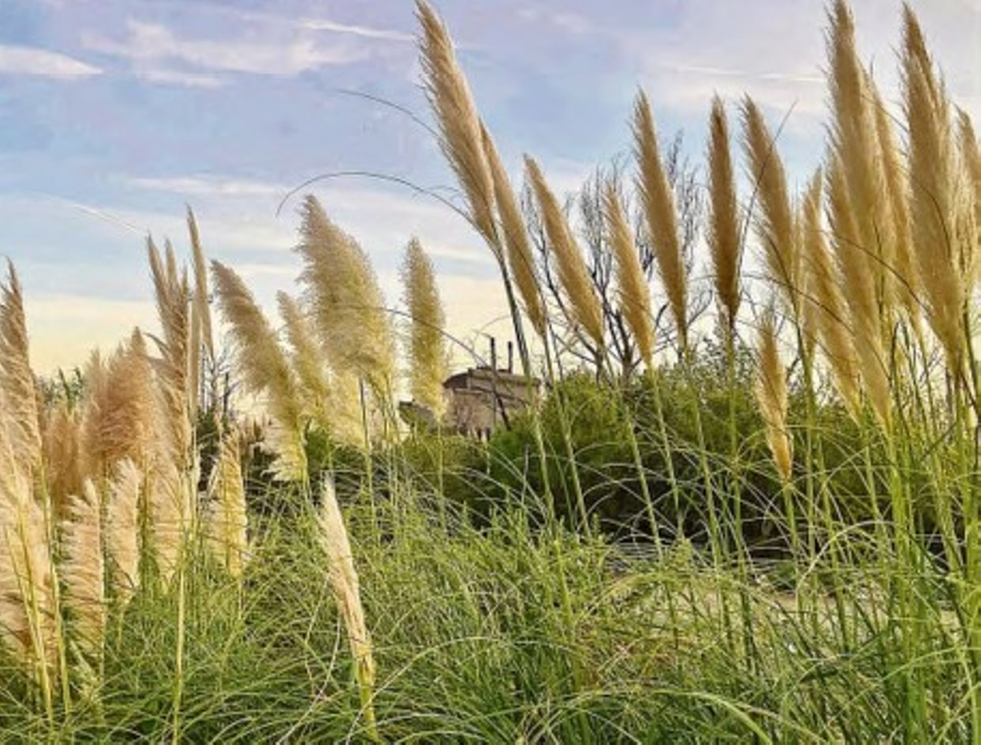 Air, Santé, Industrie : la mobilisation se poursuit